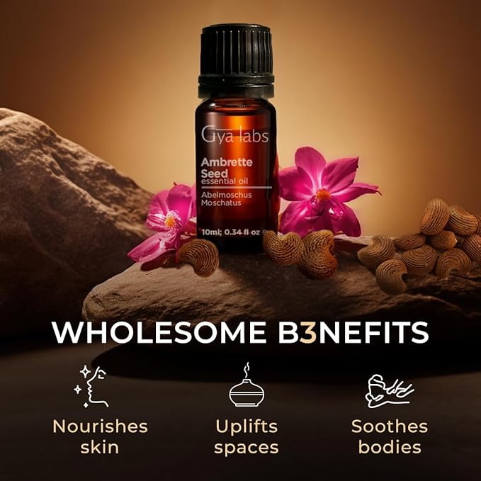 Gya Labs Ambrette Seed Essential Oil - 0.34 Fl Oz - for Hair, Skin, Diffuser, Aromatherapy & DIY Candle Making Scent