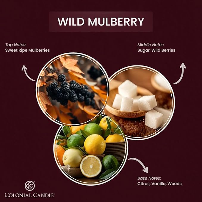 Colonial Candle Wild Mulberry Wax Melts, Wax Melt Warmer Cubes, Long Lasting Scented Wax Warmer Cubes, 4 Pack, 6 Cubes Each - Made in The USA