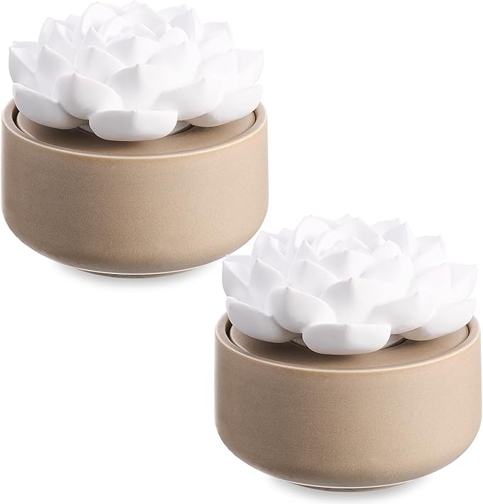 Honeydak 2 Pcs Flower Passive Essential Oil Diffuser Stone White Ceramic Porcelain Floral Diffuser with Container Non Electric Handmade Decorative Tabletops Home Decoration Christmas (Succulent)