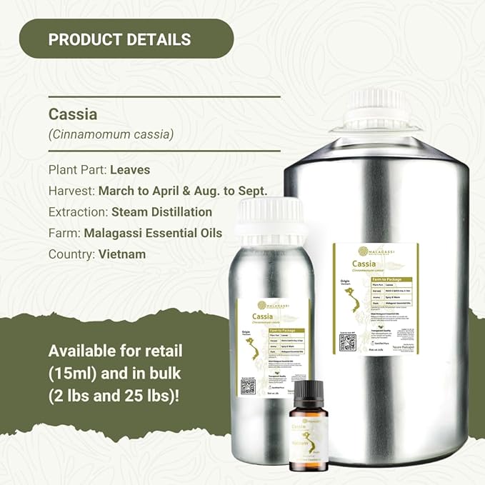 Cassia Essential Oil - Direct from Vietnamese Mountain Farms - Steam Distilled - Aceite de Casia for Aromatherapy, Massage, Diffuser, DIY Candle and Soap Making - 15ml