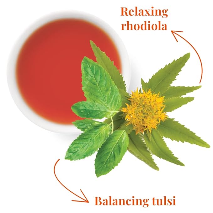 The Republic of Tea - SuperAdapt Stress Suppress Herbal Tea, 36 Tea Bags, Organic, Caffeine Free, Tulsi and Rhodiola Herbal Tea