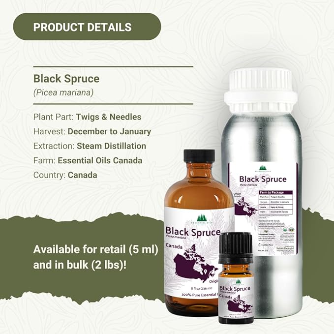 Black Spruce Essential Oil from Canada - Pure Essential Oils for Diffuser, Humidifier, or Aromatherapy- Fresh & Forest-Like | Pure Therapeutic Grade (8oz)