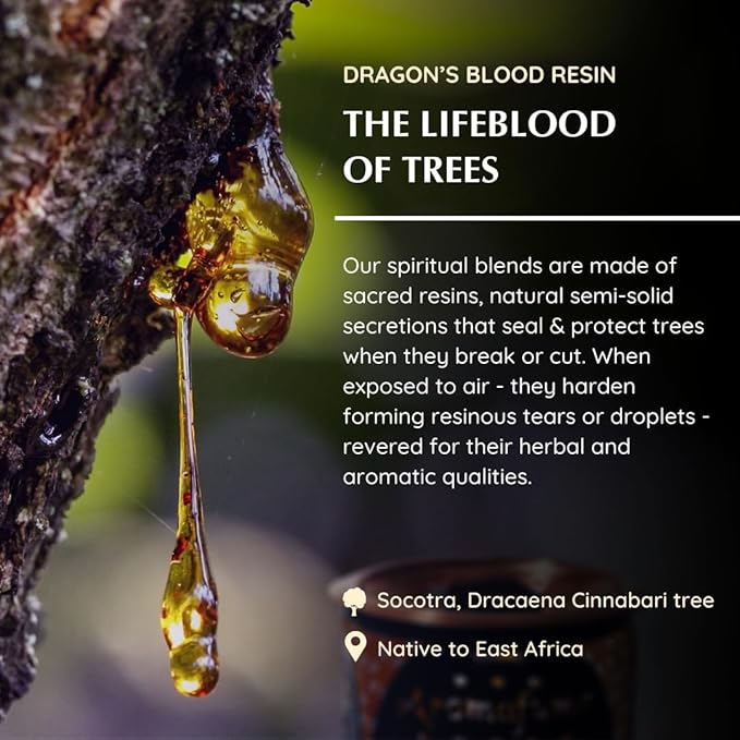 Aromafume Dragons Blood Incense Bricks (3 Trays x 9 Pieces Each) | Ideal for Positive Vibe Generation, clearing Negative Energy, Purification, Relaxation, Healing & Rituals | Refill Pack