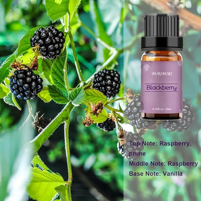 BURIBURI BlackBerry Essential Oil 10ml Premium Grade Scented Oil BlackBerry Fragrance Oil for Diffusers, Massage, Candle Making Soap Making