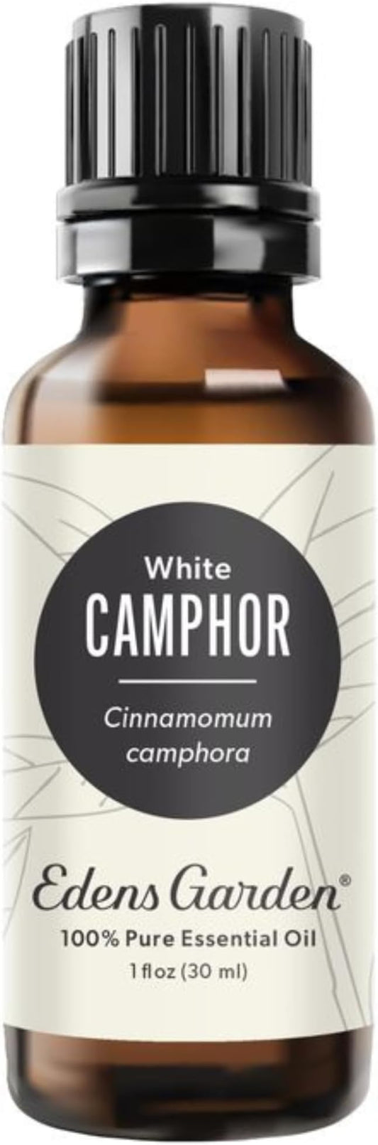 Edens Garden Camphor- White Essential Oil- 100% Pure Premium Grade, Undiluted, Natural, Therapeutic, Aromatherapy, The Best for Diffuser, Hair, Laundry, Humidifiers 30 ml (1 fl oz)