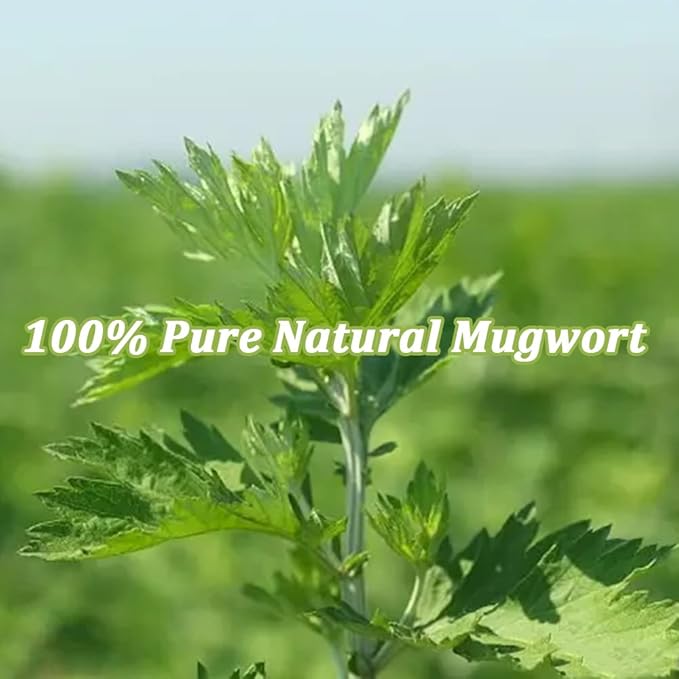 LYCKLIGA - Mugwort Tea bags, Mugwort leaves Herbal Tea, Artemisia Vulgaris Tea (15 Tea Bags)