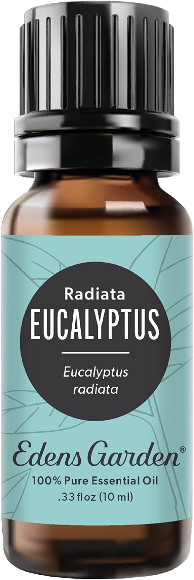 Edens Garden Eucalyptus- Radiata Essential Oil- 100% Pure Premium Grade, Undiluted, Natural, Therapeutic, Aromatherapy, The Best for Diffuser, Laundry, Hair, Humidifiers 10 ml (.33 fl oz)