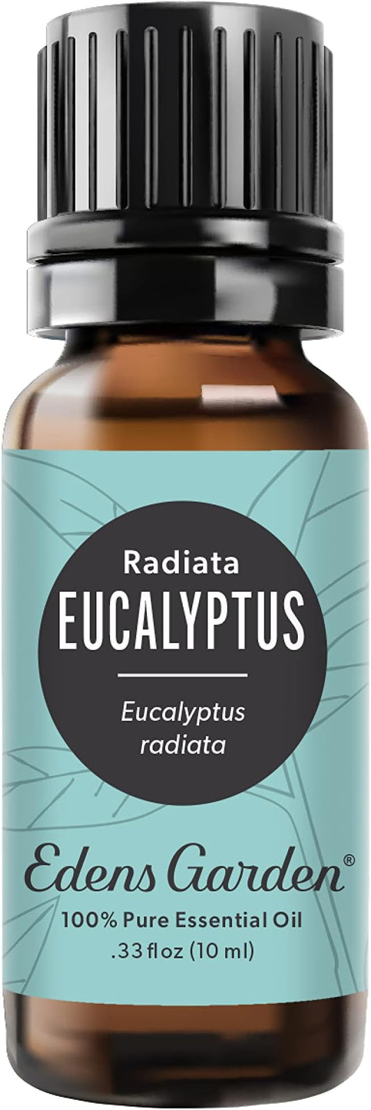 Edens Garden Eucalyptus- Radiata Essential Oil- 100% Pure Premium Grade, Undiluted, Natural, Therapeutic, Aromatherapy, The Best for Diffuser, Laundry, Hair, Humidifiers 10 ml (.33 fl oz)