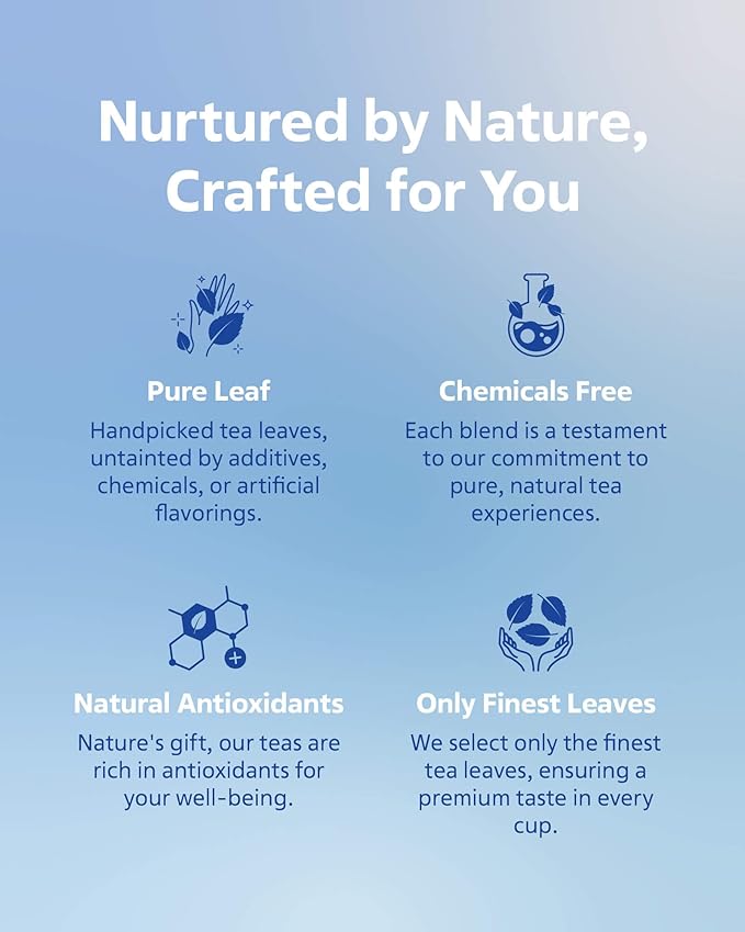 LOVARE Loose Leaf Tea 80 g - Made in Ukraine - Assorted Tea - 1001 Night, Passion Fruit, Sparkling Splashes, Bahamian Soursop - Gift Box with 60 Paper Filters – Easy to Brew Flavored tea