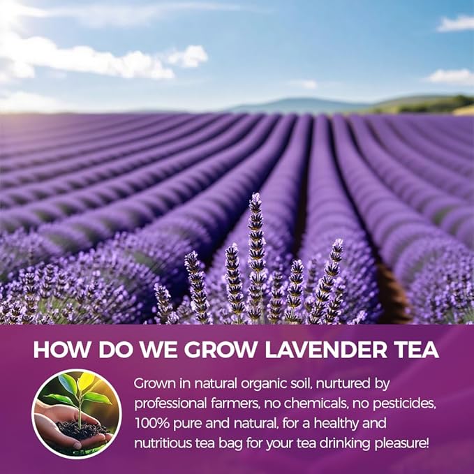 WOTIHA-Natural Lavender tea bags 90g. 60 Herbal Tea Bags.for Sleep & Wellness Relaxation Tea. Non-GMO • Additive-Free • Caffeine-Free