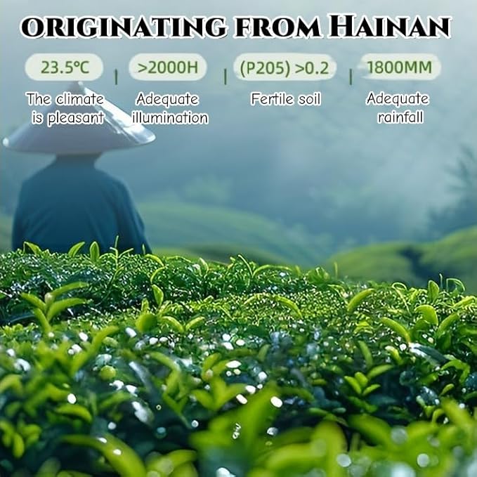 JINQI 2bottles Bitter Tea Kuding- 苦丁茶 大叶苦丁茶4.93oz/140g(2.46oz/70g*2), Chinese Herbal Green Tea, Clearing Heat, Holiday Gifts, Tea Gifts