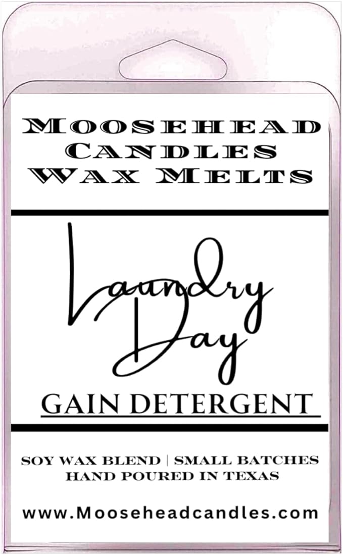 Laundry Day Wax Melts 4 Pack – Fresh & Clean Gain Detergent Inspired Scented Wax Melts, Long-Lasting Soy Wax for Home and Office, Aromatherapy Wax Melts for Laundry Lovers