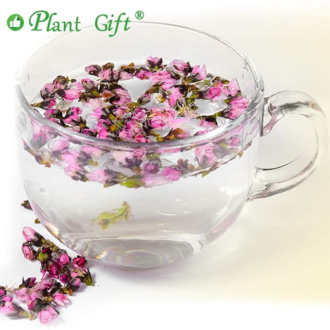 Plant Gift Dried Peach blossom Flower Tea, Dried Peaches Flower, Peach Flowers Herbal Tea Health 40G
