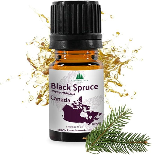 Black Spruce Essential Oil from Canada - Pure Essential Oils for Diffuser, Humidifier, or Aromatherapy- Fresh & Forest-Like | Pure Therapeutic Grade (5ml)