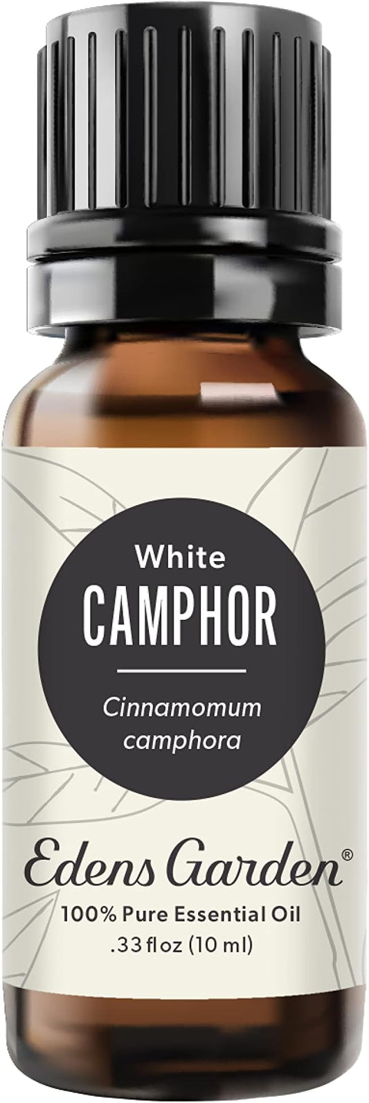 Edens Garden Camphor- White Essential Oil, 100% Pure Therapeutic Grade (Undiluted Natural/Homeopathic Aromatherapy Scented Essential Oil Singles) 10 ml