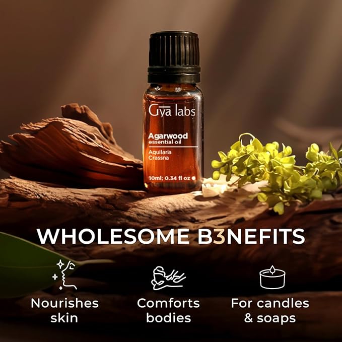 Gya Labs Agarwood Essential Oil - 0.34 Fl Oz - for Hair, Skin, Diffuser, Aromatherapy & DIY Candle Making Scent