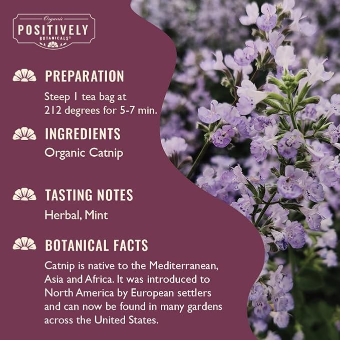 Organic Positively Botanicals Company, Catnip Herbal Tea Bags, 100 Count, Eco-Friendly Tea Bags, Non-GMO