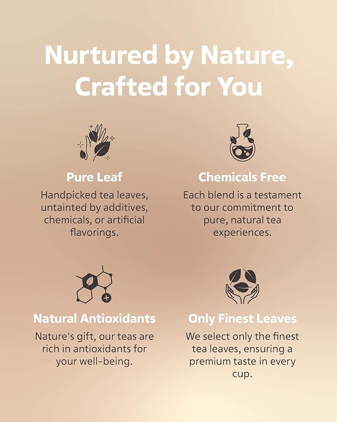 LOVARE Cleopatra’s Night Loose Leaf Tea Sampler 80 g – Made in Ukraine — Green Tea, Pineapple, Apple, Rose Buds and Petals, Calendula, Safflower, and More with 15 Paper Filters