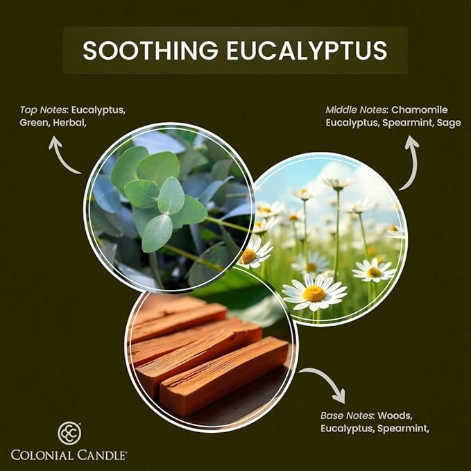 Colonial Candle Soothing Eucalyptus Wax Melts, Wax Melt Warmer Cubes, Long Lasting Scented Wax Warmer Cubes, 4 Pack, 6 Cubes Each - Made in The USA