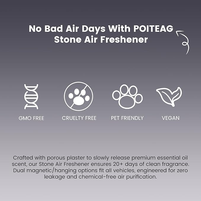 Car Diffuser | Stone Air Freshener | Magnetic Visor Clip & Hanging Car Scent Odor Eliminator, Long Lasting Vehicle Fragrance - Grove