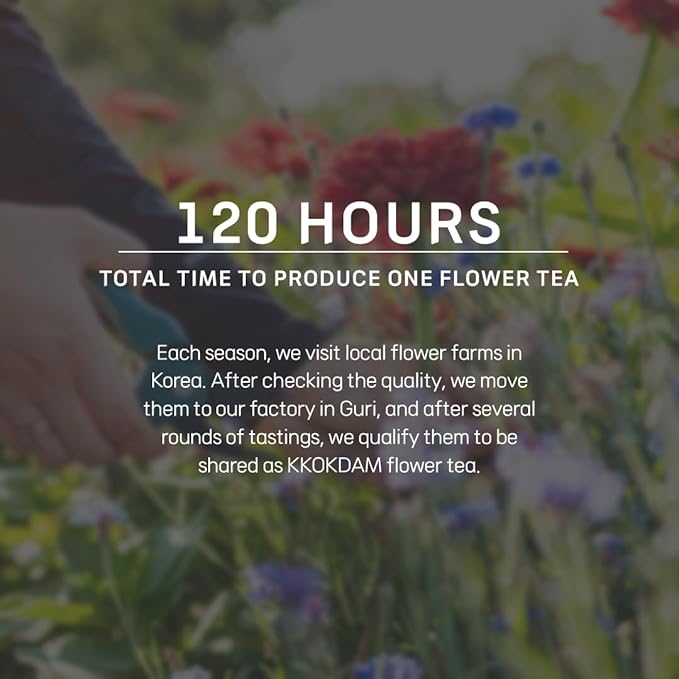 KKOKDAM Tea Gift Set - Siberian Chrysanthemum Blooming Stick Flowers - Fancy Korean Gifts For Tea Lovers - 5 Premium Flower Sticks