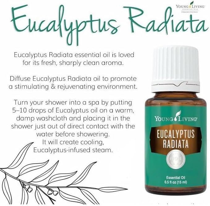 Eucalyptus Radiata Essential Oil 15ml by Young Living Essential Oils