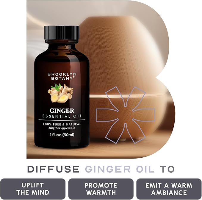 Brooklyn Botany Ginger Essential Oil - 100% Pure and Natural - Premium Grade Oil with Dropper - for Aromatherapy and Diffuser - 1 Fl Oz