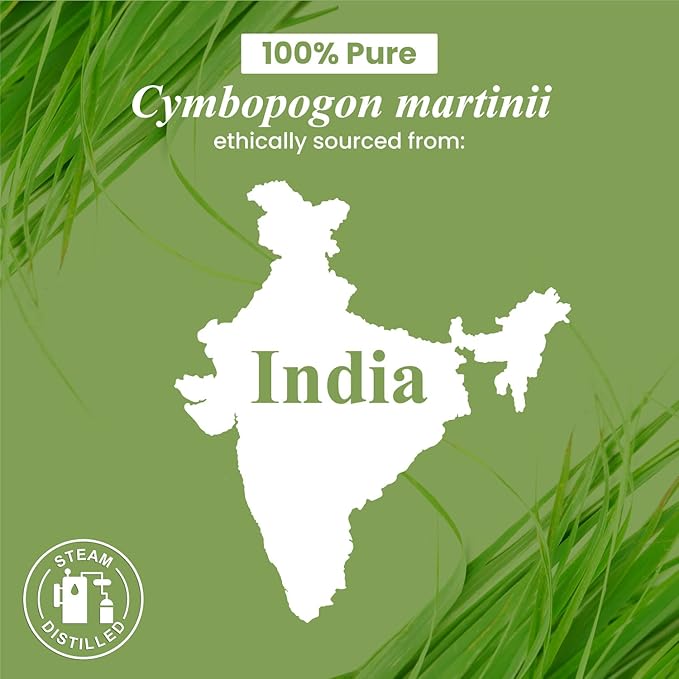 Handcraft Blends Palmarosa Essential Oil – Huge 4 Fl Oz – 100% Pure and Natural – Premium Grade Essential Oil for Diffuser and Aromatherapy, Skin, Massage, Candle and Soap Making Fragrance