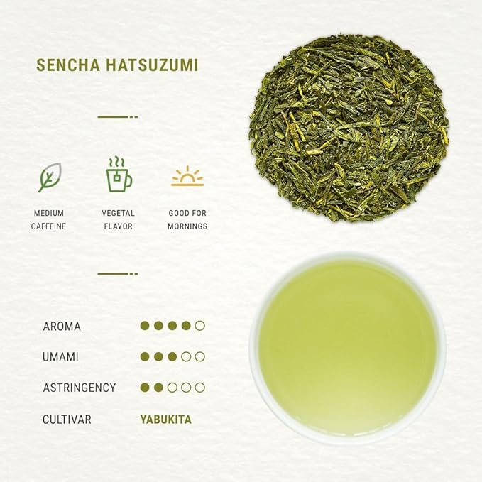 Senbird Premium Sencha - Japanese Green Tea - From Shizuoka, Japan - Loose Leaf Tea In Airtight Tea Tin (3.5oz/100g)