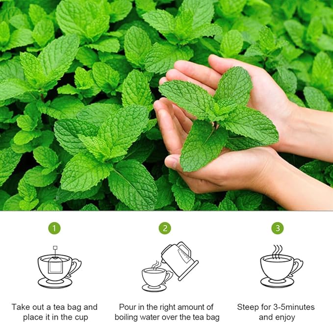 LYCKLIGA - Spearmint Tea Bags - Spearmint Leaves - Support Digestion & Natural Breath Freshener - Traditional Herbal Tea.(15 Tea bags)