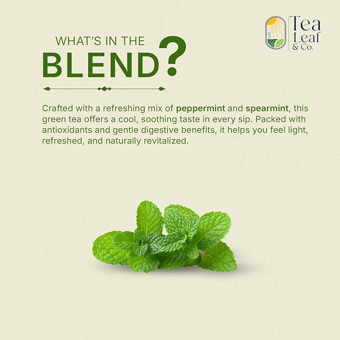 Tealeaf & Co. Mint Green Tea Bags Blended with Fresh Herbs - Spearmint & Peppermint Tea - Contains Low Caffeine - Gluten Free - 100 Teabags (7.055oz/200gm)