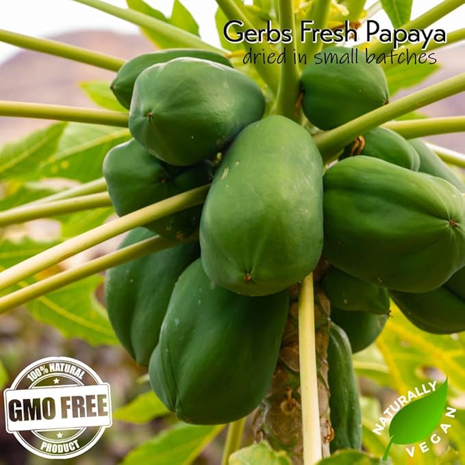 Gerbs Lightly Sweetened Dried Papaya Cubes 4 lbs. | Unsulfured, No Additives, Resealable Bag | Naturally Sweet & Chewy | Top 14 Allergen-Free