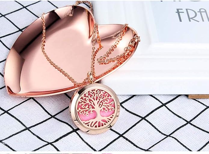 Aromatherapy Essential Oil Diffuser Necklace 316L Stainless Steel Locket Pendant with 24 Inch Chain