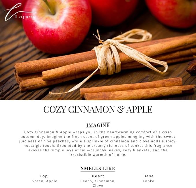 Car Air Freshener Diffuser – 2 Pack Hanging Air Freshener Diffuser (.34 Oz, Cozy Cinnamon & Apple)