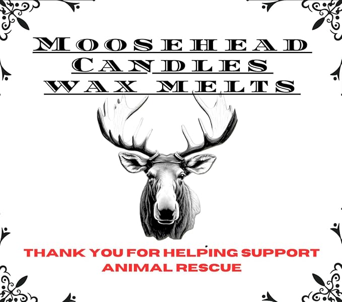 Iced Vanilla Woods Wax Melts – 4 Pack Soy Wax Melts for Warmers | Vanilla, Cedarwood & Sandalwood Blend | Long Lasting Fragrance | Pet Safe & Handmade in US