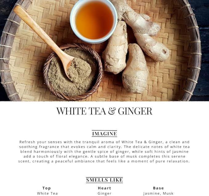 Car Air Freshener Diffuser – 2 Pack Hanging Air Freshener Diffuser (.34 Oz, White Tea & Ginger)