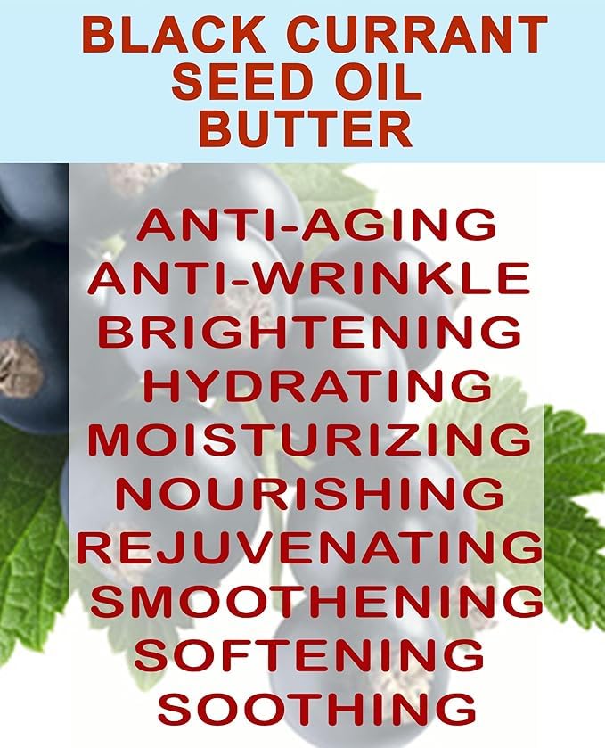 Botanical Beauty BLACK CURRANT SEED OIL BUTTER 100% Pure Natural VIRGIN UNREFINED Cold-Pressed for Face, Skin, Body, Hair, Lip, Nails. Rich in Gamma-Linolenic Acid, Vitamin E (4 Fl Oz)