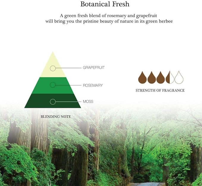 Aronica Mini Diffuser 40 ml – Botanical/Pomegranate (Desk/Office Decorative Diffuser) • Natural Oils & Sola Flower Design • Home Fragrance Gift for Small Rooms