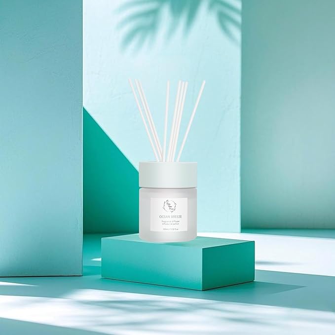Reed Diffuser Set, Pretty Valley Home Diffuser 100Ml / 3.38fl OZ Gift Box - Includes Reed Diffuser Sticks, Fragrance Oil, and Glass Bottle for Bathroom Office Living Room Decor (Ocean Breeze)