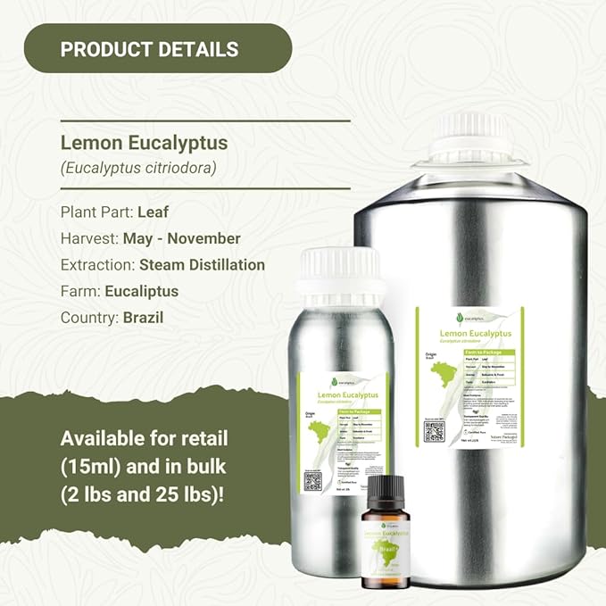 Lemon Eucalyptus Oil by Eucaliptus from Brazil - Pure Lemon Eucalyptus - 100% Pure Steam Distilled Natural Aceite de Eucalipto Limón - Aromatherapy - Premium Therapeutic Grade (8oz)