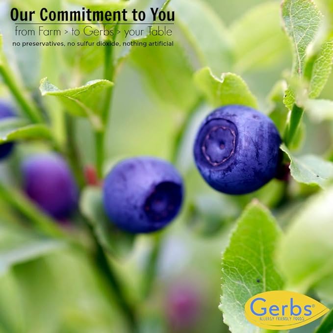 Gerbs Dried Blueberries 2 lbs. | Unsulfured, No Additives, Resealable Bag | Naturally Sweet & Tart | Top 14 Allergen-Free