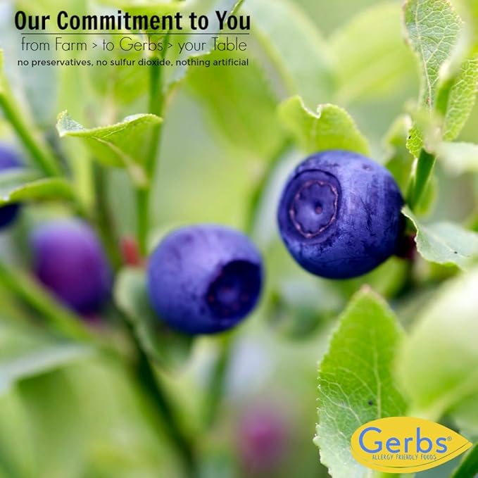 Gerbs Dried Blueberries 4 lbs. | Unsulfured, No Additives, Resealable Bag | Naturally Sweet & Tart | Top 14 Allergen-Free