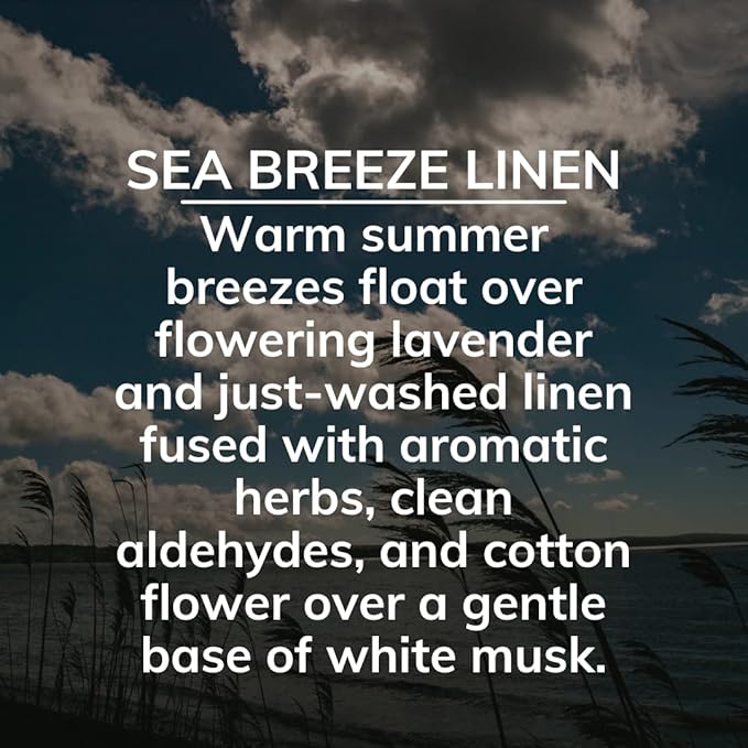 Citrus Magic On The Go Odor Absorbing Solid Air Freshener, Sea Breeze Linen, 8-Ounce, Pack of 1