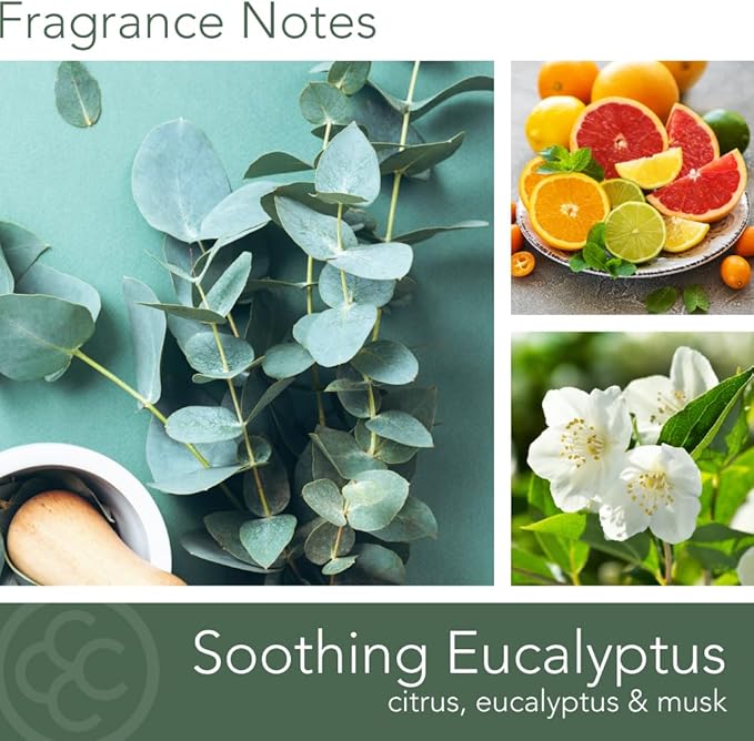 Carolina Soothing Eucalyptus Scented Candle, 16 oz Wellness Relaxing Aromatherapy Candle, 2 Wick White Jar Soy Blend Wax, Candles for Home, 60H Burn - Made in The USA