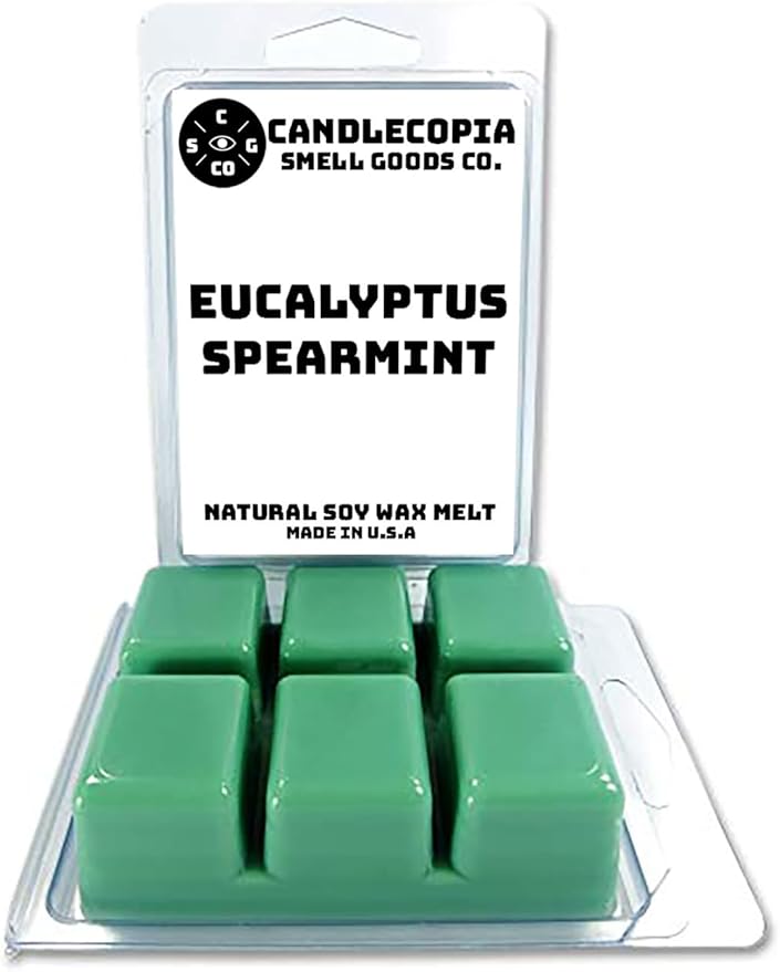 Eucalyptus Spearmint Strongly Scented Hand Poured Vegan Wax Melts, 12 Scented Wax Cubes, 6.4 Ounces in 2 x 6-Packs