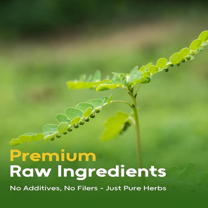 FullChea - Chanca Piedra Tea, 60 Teabags - Premium Chanca Piedra Leaves - Natural Stone Breaker Herbal Tea - Non-GMO - Caffeine-Free - Support Kidney Health