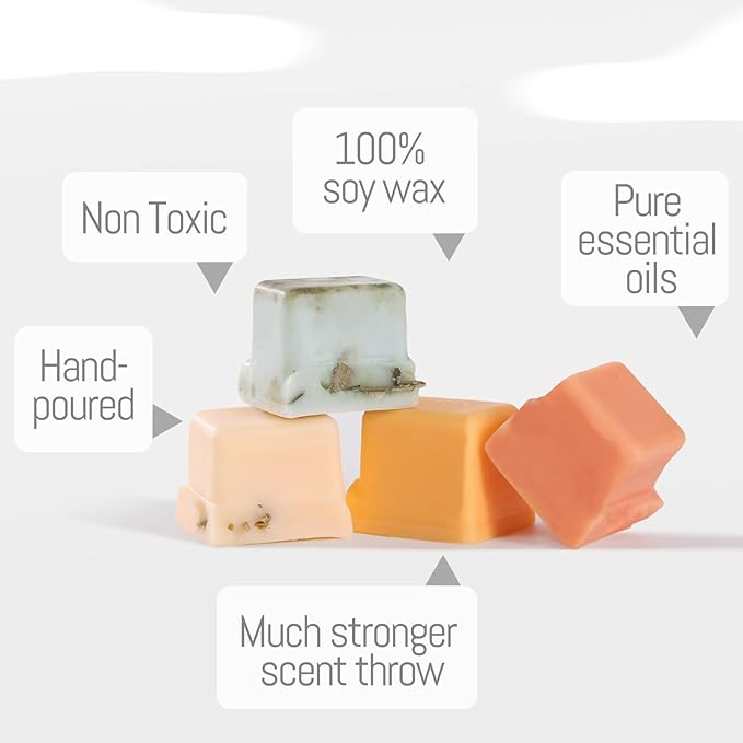 DEVI Assorted Scented Wax Melts with Dried Flowers(4 Pack), Natural Soy Wax Cubes Strong Scent - Plant-Based Scented Melts for Warmer, Pumpkin Spice, Citrus & Tonka, Peppermint & Sage, Honeysuckle