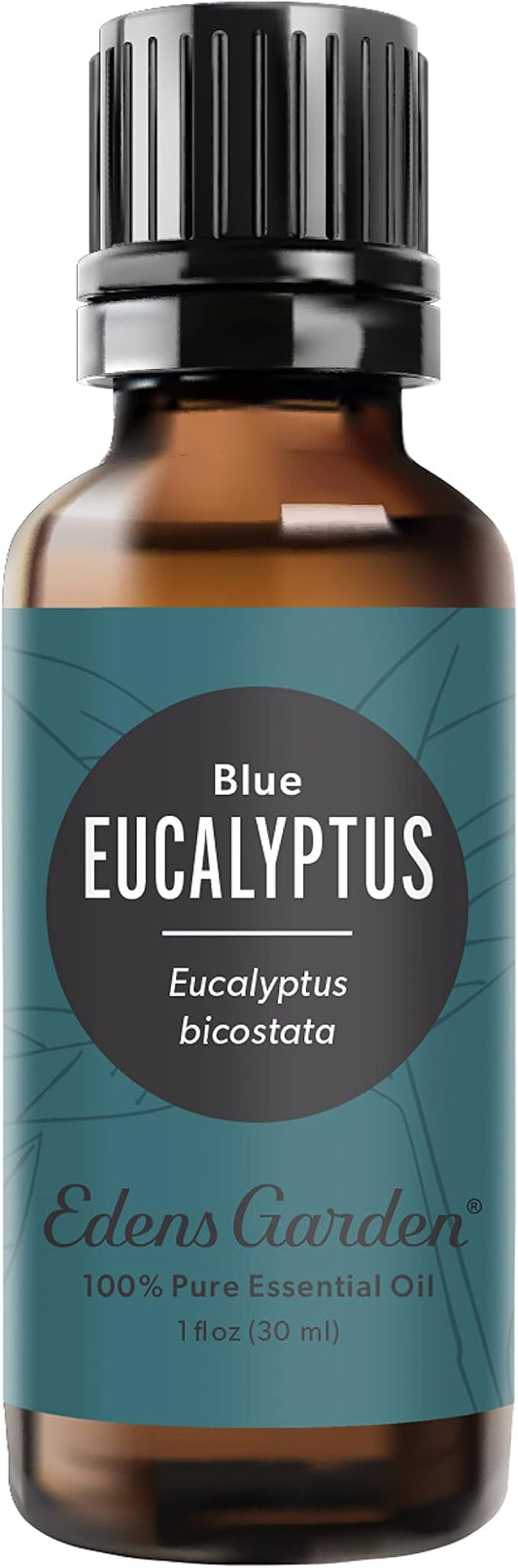 Edens Garden Eucalyptus- Blue Essential Oil- 100% Pure Premium Grade, Undiluted, Natural, Therapeutic, Aromatherapy, The Best for Diffuser, Skin, Candle, Humidifiers 30 ml (1 fl oz)