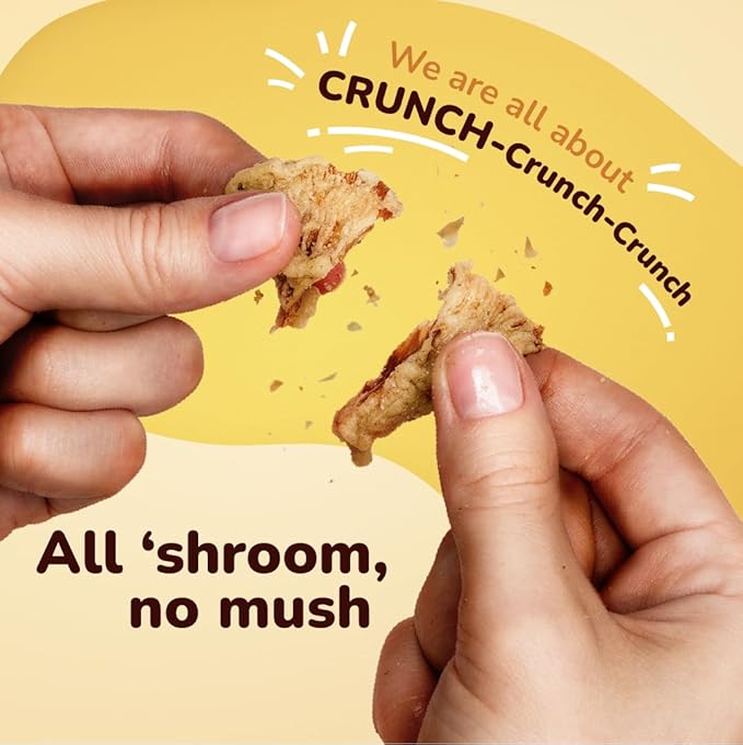 EVIL SNACKS Crunchy Mushroom Chips - SHROOM ORIGINAL Flavor, Non-GMO, Plant-Based, Vegan - Nutrient-Packed, On-the-Go Snack - 1 Oz (6 Pack)