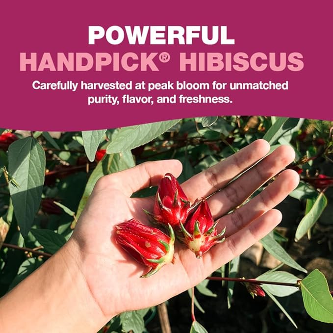 HANDPICK, Organic Hibiscus Tea Bags (100 Tea Bags) | Caffeine-Free, 100% Natural Pure Indian Hibiscus Flowers | Ayurvedic Benefits in every sip